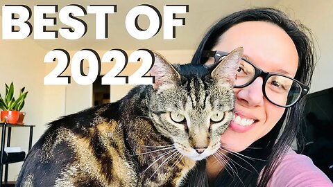 Best cat supplies 2022 ULTIMATE guide
