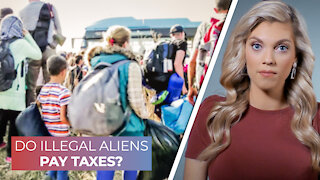 Do illegal aliens pay taxes?
