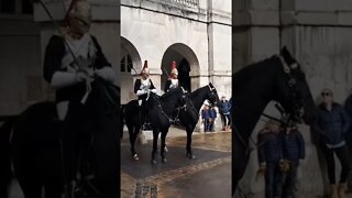 Horses out of the arches #horseguardsparade