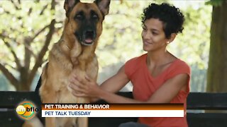 PET TALK TUESDAY - TRAINING AND BEHAVIOR TRAINING