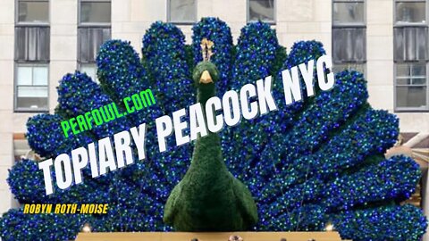 NBC Peacock Topiary NYC, Peacock Minute, peafowl.com