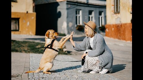 The dog and the family at the seashore