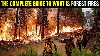 The Complete Guide To Forest Fires