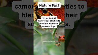 Discover the Surprising Fact About Red Frogs #shorts #naturefacts #inspiredaily