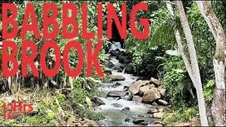 12 Hour Nature Sounds-Babbling Brook Sounds-Sleep Work Focus Study Meditate DeStress Soothe Baby