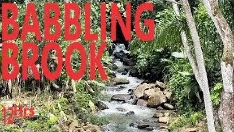 12 Hour Nature Sounds-Babbling Brook Sounds-Sleep Work Focus Study Meditate DeStress Soothe Baby