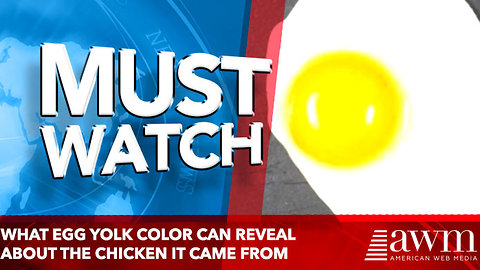 What egg yolk color can reveal about the chicken it came from