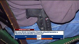 Do you think Livingston County should become a 'Second Amendment sanctuary'?