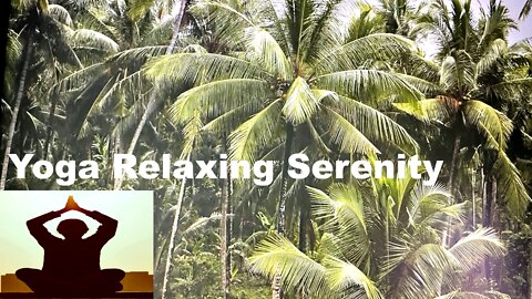 Yoga Relaxing Serenity / Meditation