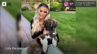 Olivia Attwood Introduces Newest Family Member