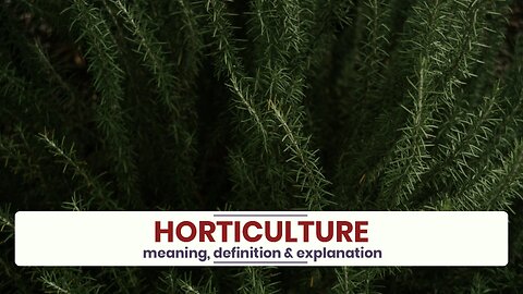 What is HORTICULTURE?