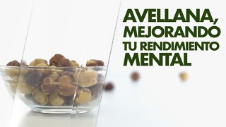 Avellana, mejorando tu rendimiento mental