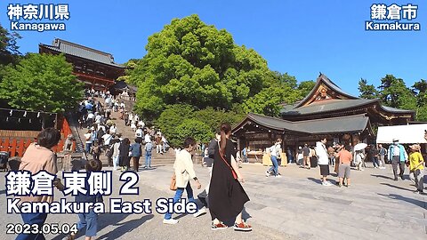 Walking In Kanagawa - Knowing East Area of Kamakura Station Part 2 2023.05.04