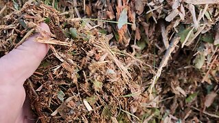 Beautiful wood mulch