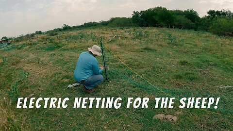 Setting up Vevor Electric Netting for the Sheep!