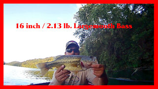 Catching Bass on the Berkley Havoc Pit Boss