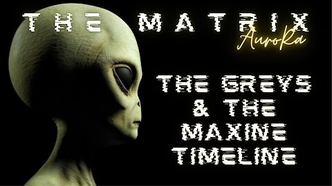 SENSITIVE: The Greys | The Covid-19 Vaccine Timeline | The Matrix