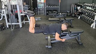 Bench 90° Reverse Hyperextension Isometric Hold
