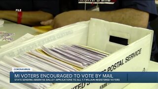 MI voters encouraged to vote by mail