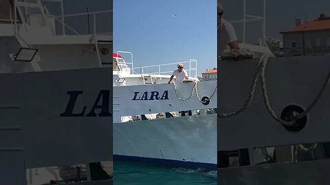 Jadrolinja LANA arrives Zadar #croatiatravel #croatia #shorts #shipping #ships