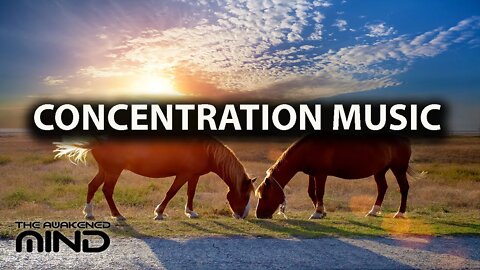 Focus Music for Work, Study, Concentration & To Calm You Down