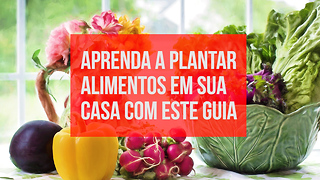 Aprenda a Plantar Alimentos em Sua Casa com Este Guia