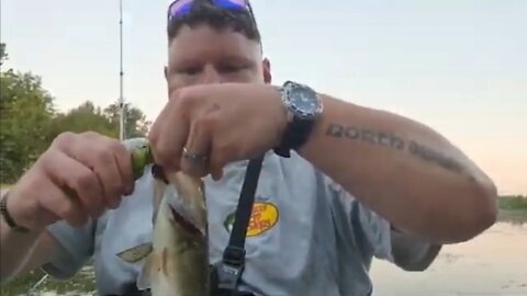 Live Fishing From Lake Kittamaqundi #topwaterblowups #bassfishing #topwaterfishing #Marylandfishing