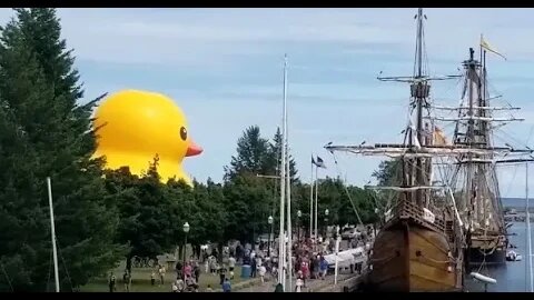 Hall Farms Sunflowers, World Record Giant Rubber Duck & A US Coast Guard Departure! | Jason Asselin