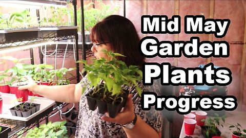 May Indoor Seedling Update: Prepping for Outdoor Planting! #garden #kitchengarden #gardeningathome