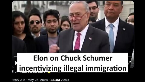 Elon on Chuck Schumer pushing illegal immigration