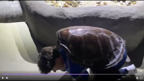 cj looking at the boring fish at the aquairm and he is talking to his friend man on the camera man