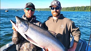 LIVE 360 Salmon Fishing Tips & TRICKS