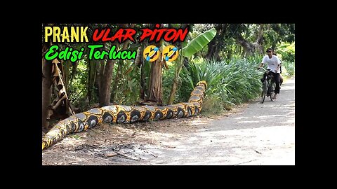 Funny video of python pranks that will make you laugh Really makes you laugh out loud