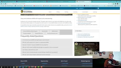 Best Wildlife Control Websites of 2021 Part 2.