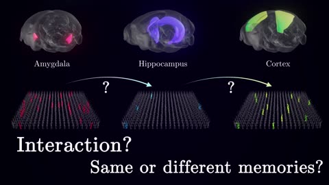 Building Blocks of memory.