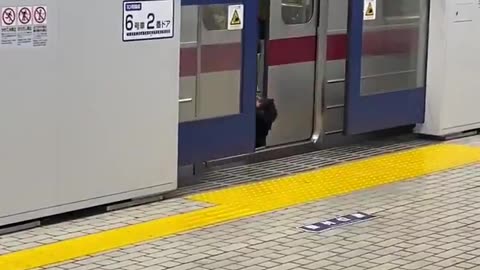 Bro Almost Got on the Train