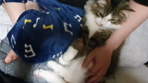 Time being bitten Time being cuddled