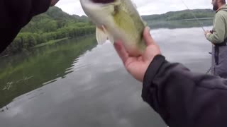 An Awesome Day of Bass Fishing on a Pond - Part 2