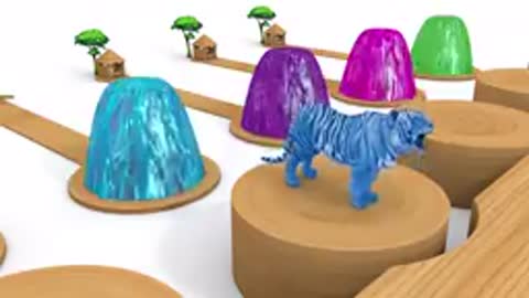 Animal cartoon video
