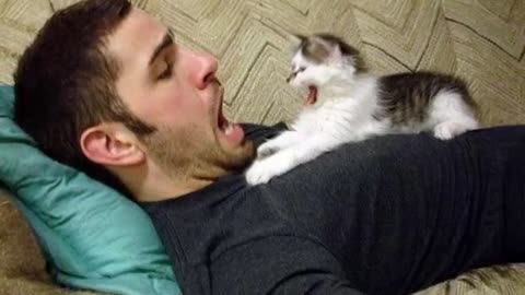 When your cat teaches you to do silly things 😂 Funny Cat and Human