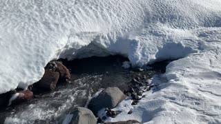 Raging River Running UNDERNEATH the Snow! – White River West Sno Park – Mount Hood – Oregon – 4K