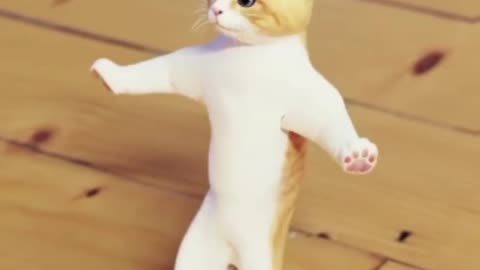 Dancing Cat