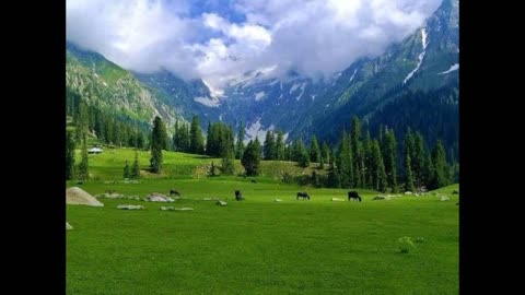 Nature pakistan