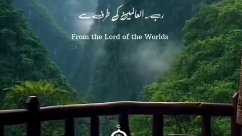 Islamic videos Quran surat shorts