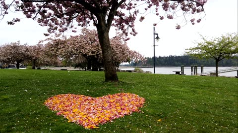 Ambleside Pier - Vancouver