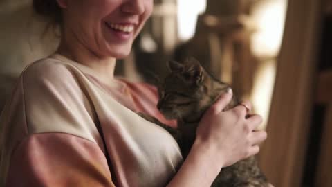 A young, beautiful girl is playing with a gentle, gray cat