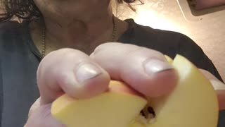 Prepping more apples for more raccoons | June 24th, 2023 | #shorts