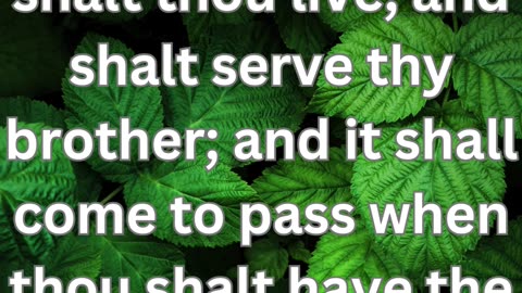 "Esau's Secondary Blessing: A Destiny of Hardship and Rebellion"39/39 ChatGPT Genesis 27:39-40