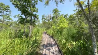 THE END OF A TRAIL JEAN LAFITTE NATIONAL FOREST LOUISIANA USA