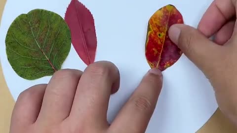 Just pick up some leaves and you can do it. Children's handicrafts, parent-child handicraf
